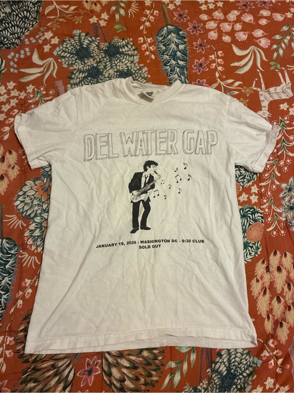 White Del Water Gap DC Band Tour Sold Out